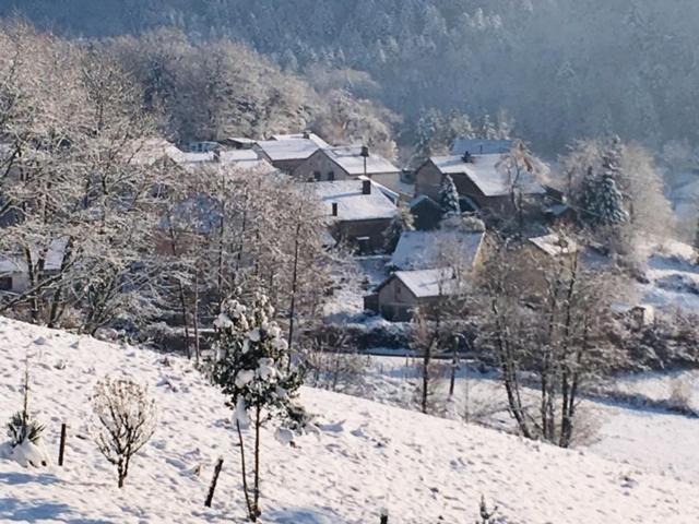 Villa Cora Venez Neuve Avec Spa Saint-Bresson Exteriér fotografie