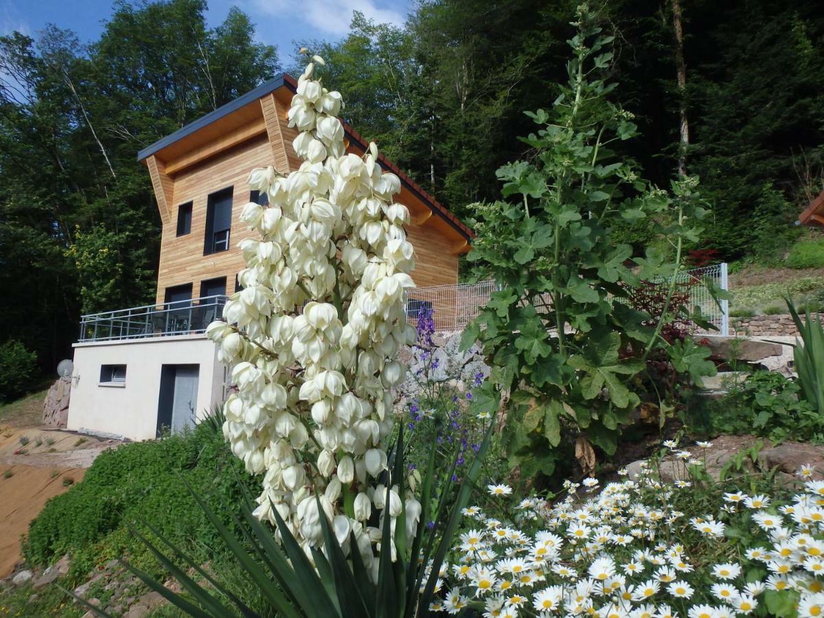 Villa Cora Venez Neuve Avec Spa Saint-Bresson Exteriér fotografie