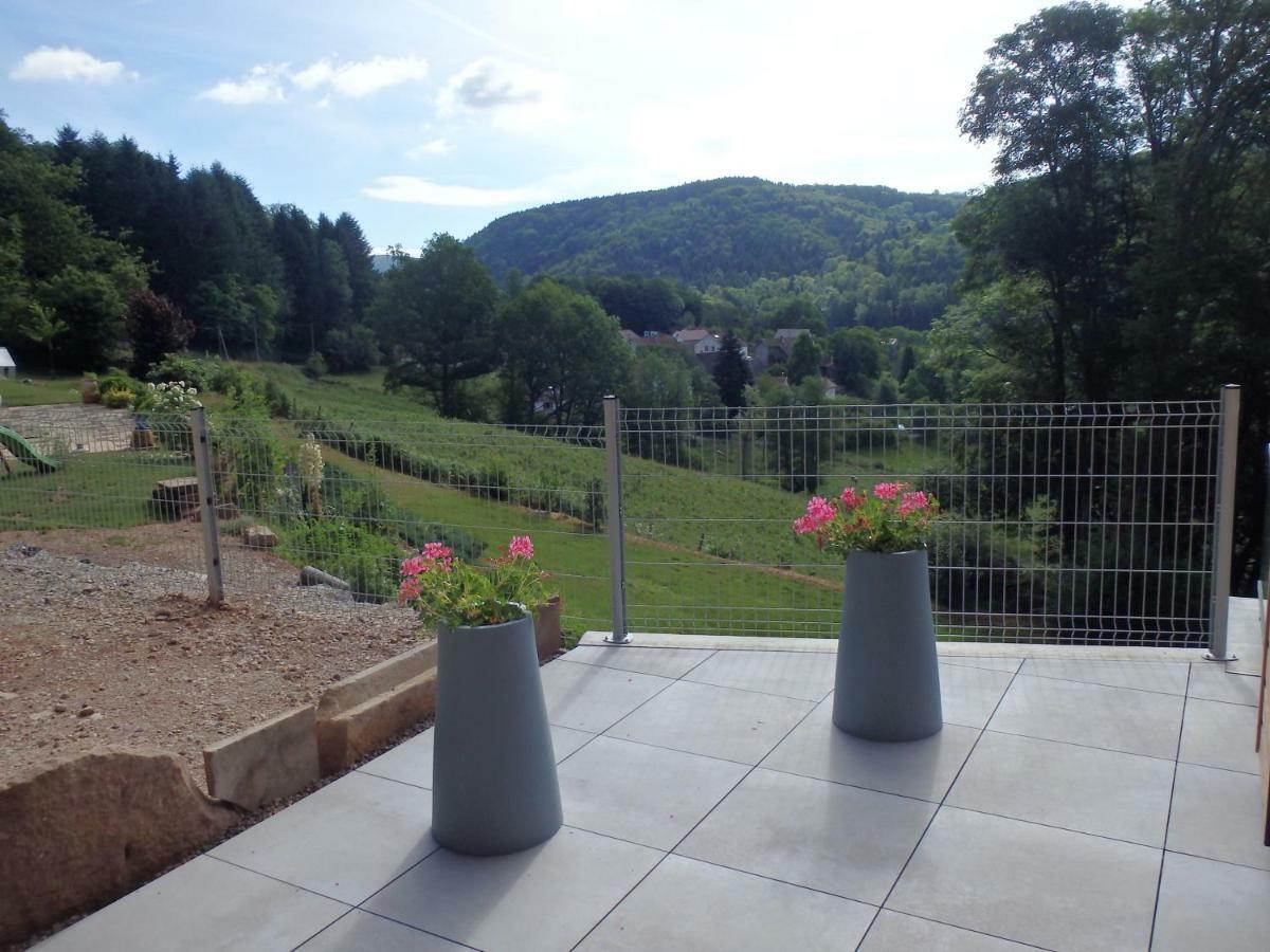 Villa Cora Venez Neuve Avec Spa Saint-Bresson Exteriér fotografie