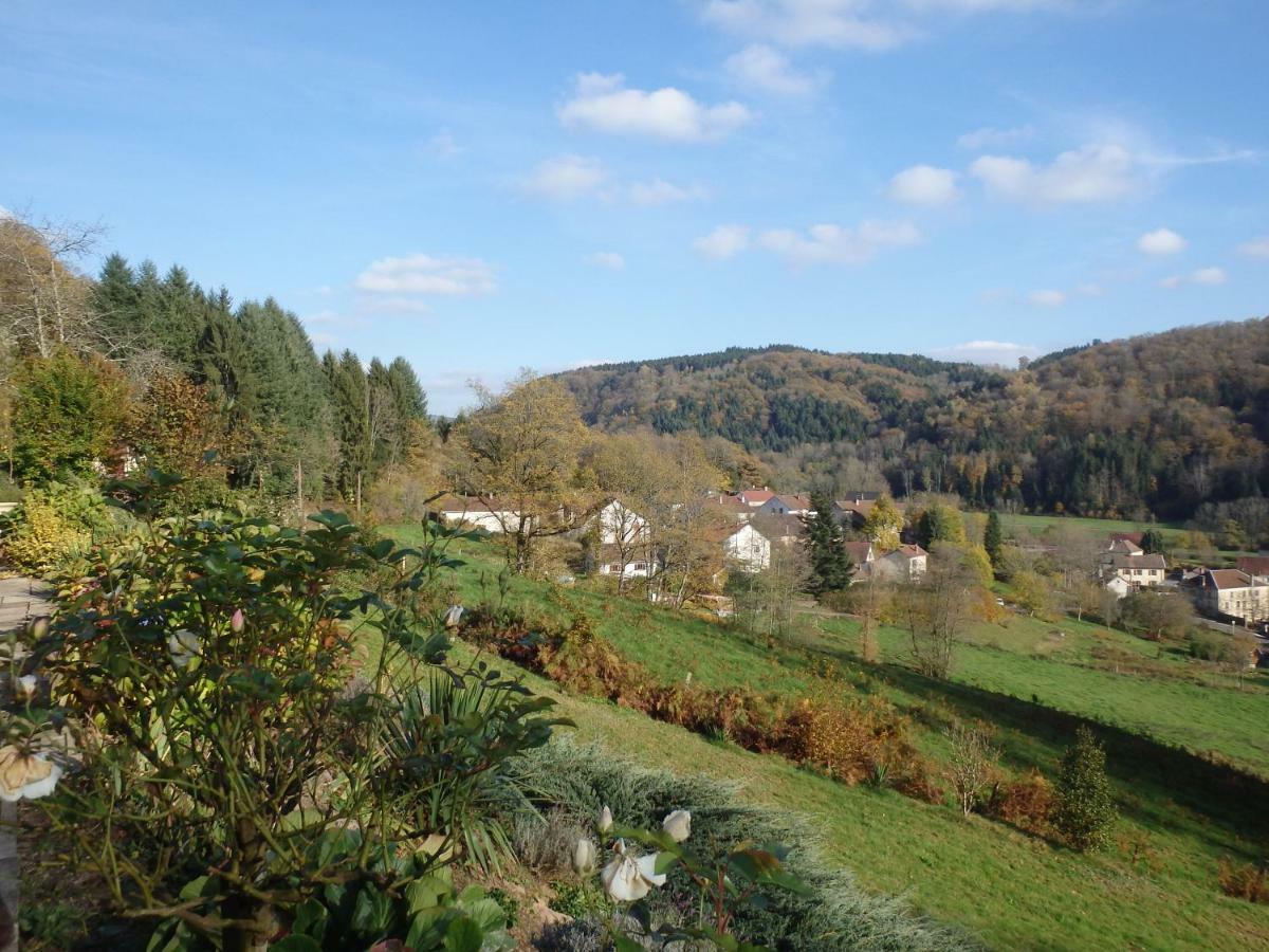 Villa Cora Venez Neuve Avec Spa Saint-Bresson Exteriér fotografie