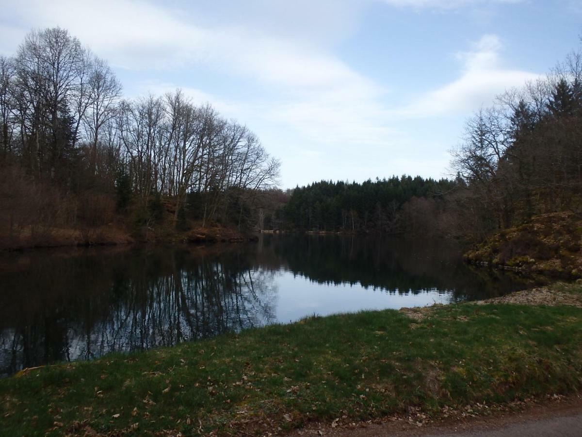 Villa Cora Venez Neuve Avec Spa Saint-Bresson Exteriér fotografie